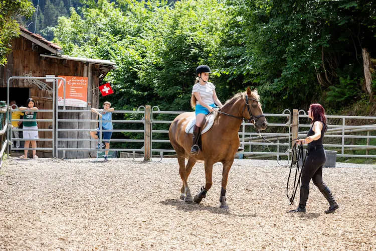 Horse riding at the camp