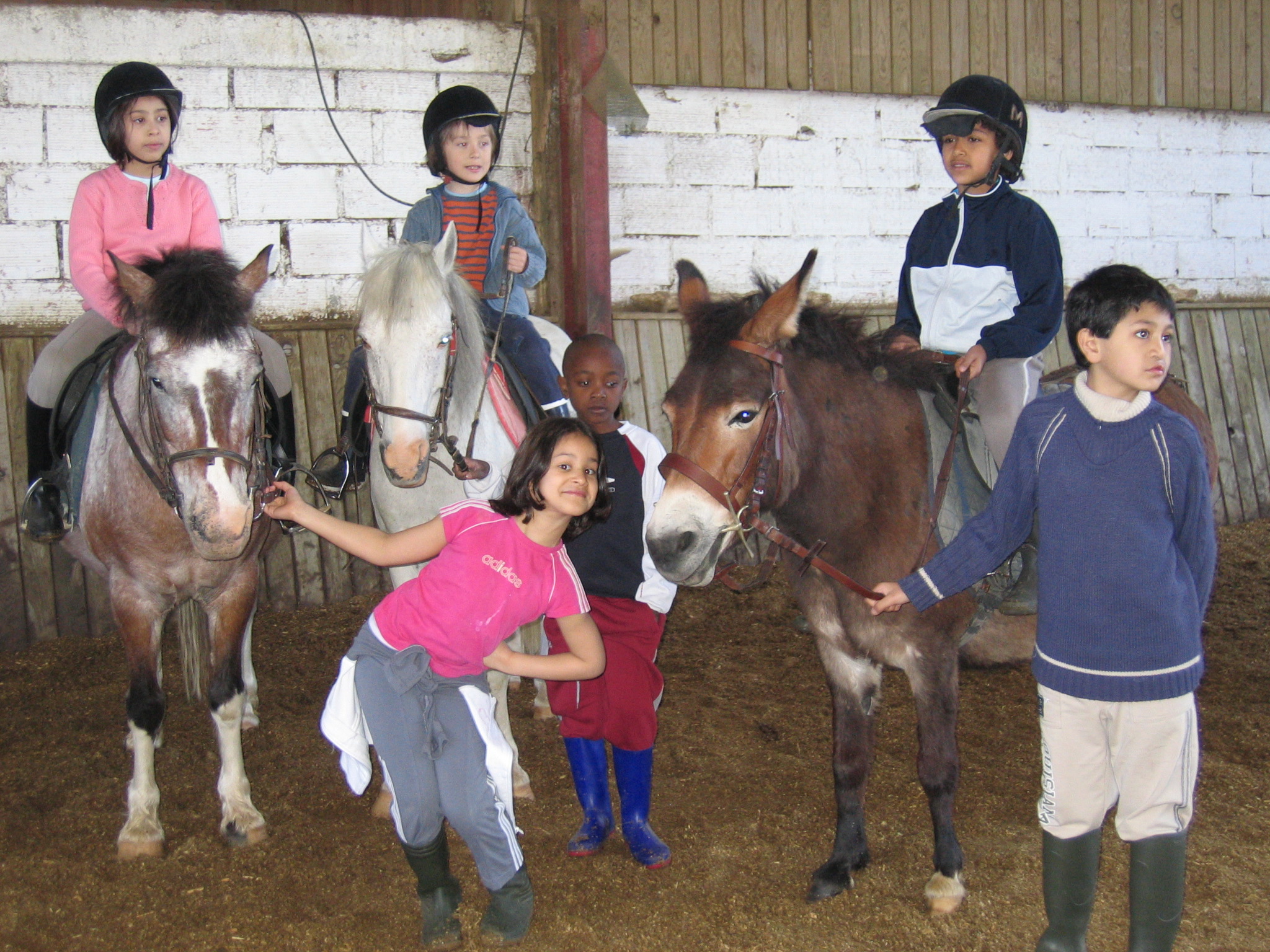 Lauzerte Horse Riding and Activities Camp