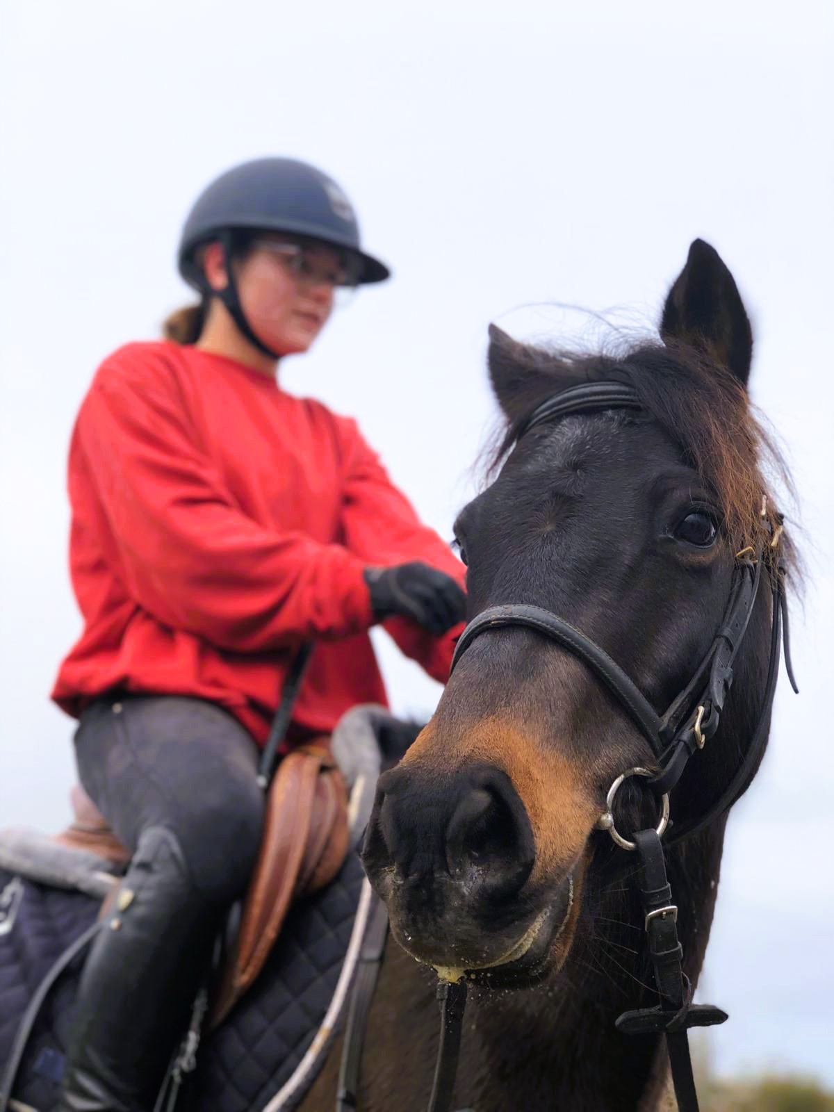 A young rider in a red top leaning against the head of a bridled horse at the riding school