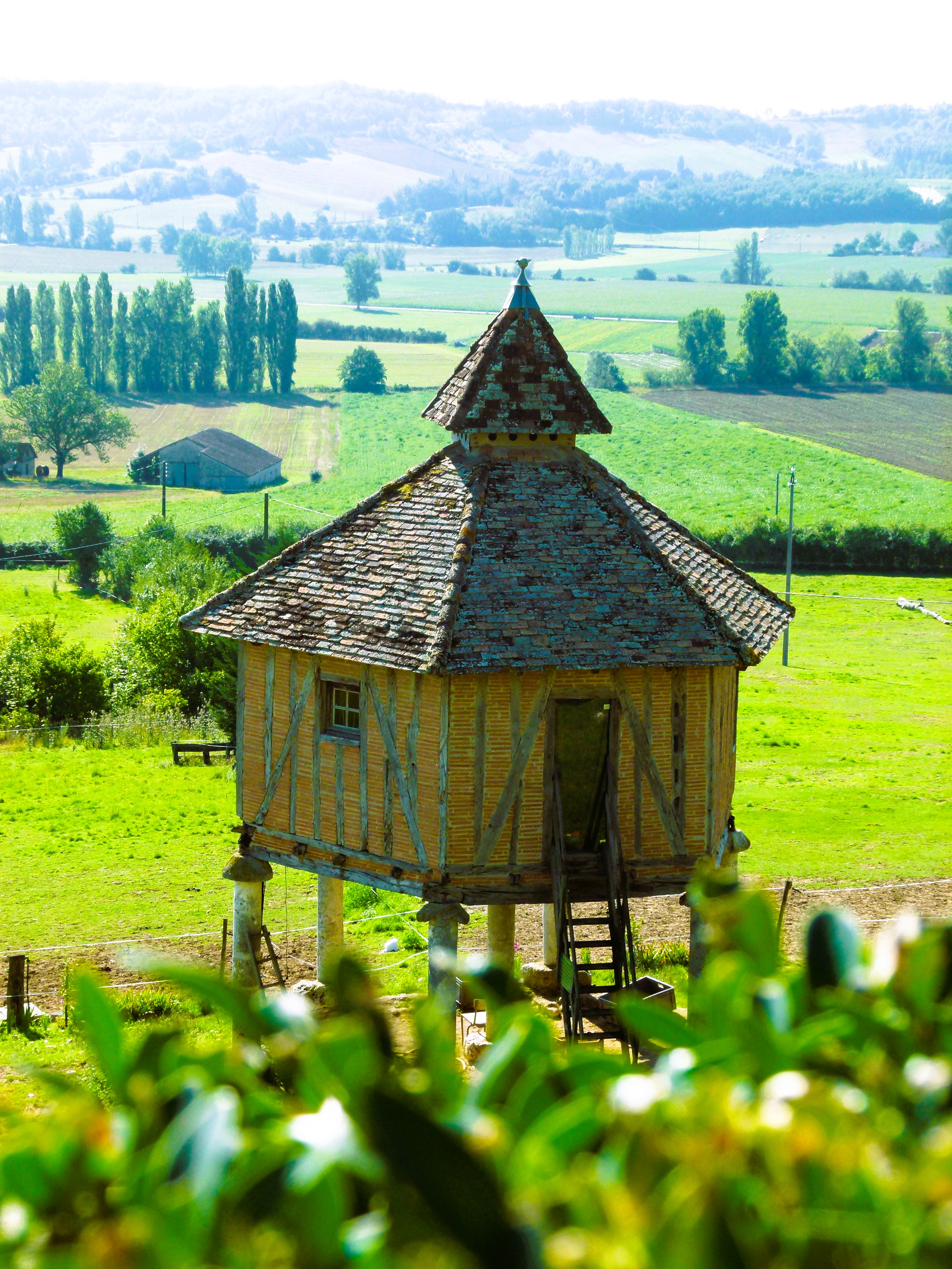 A traditional Quercy dovecote standing in the green fields of the estate at Lauzerte