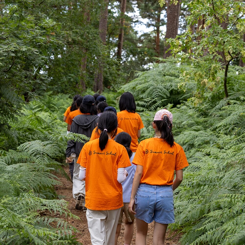 A line of students in orange summer school T-shirts walking a woodland path through ferns on the Downe House grounds