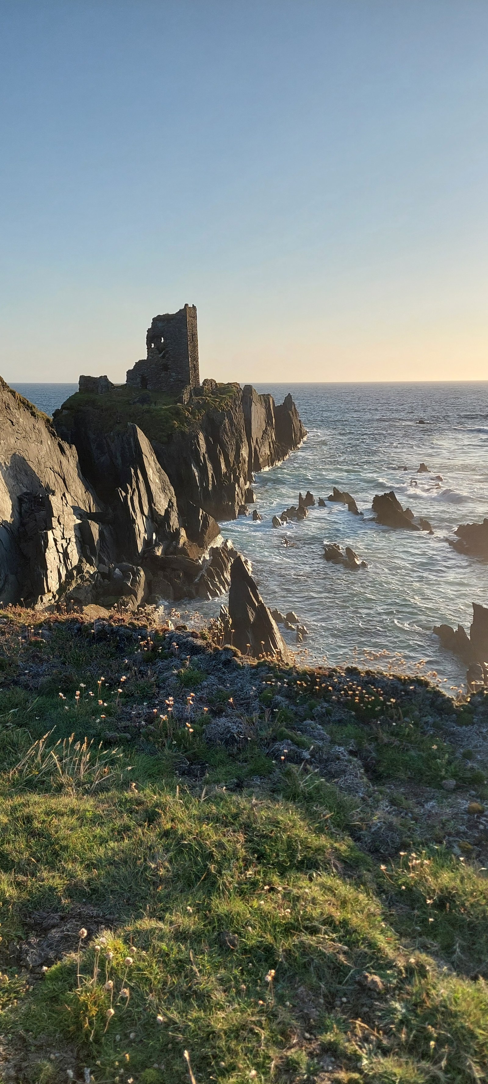 Sea cliffs and rock stacks on the shoreline of Cape Clear Island