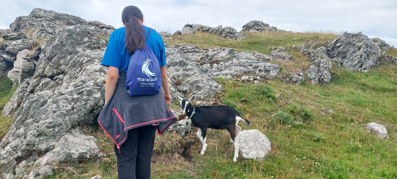 A participant on the island path beside a goat on the way to the goat farm and apiary