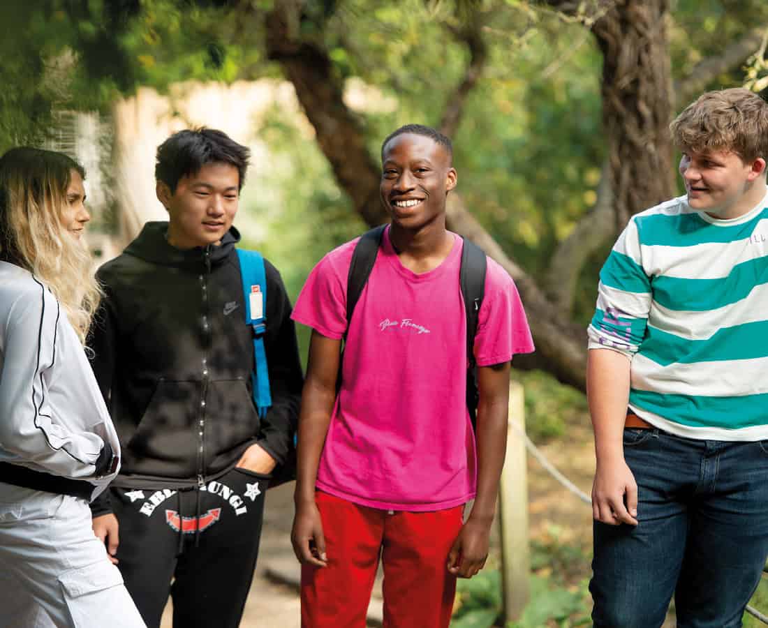 Four students stand under trees outside, talking and laughing together on a path