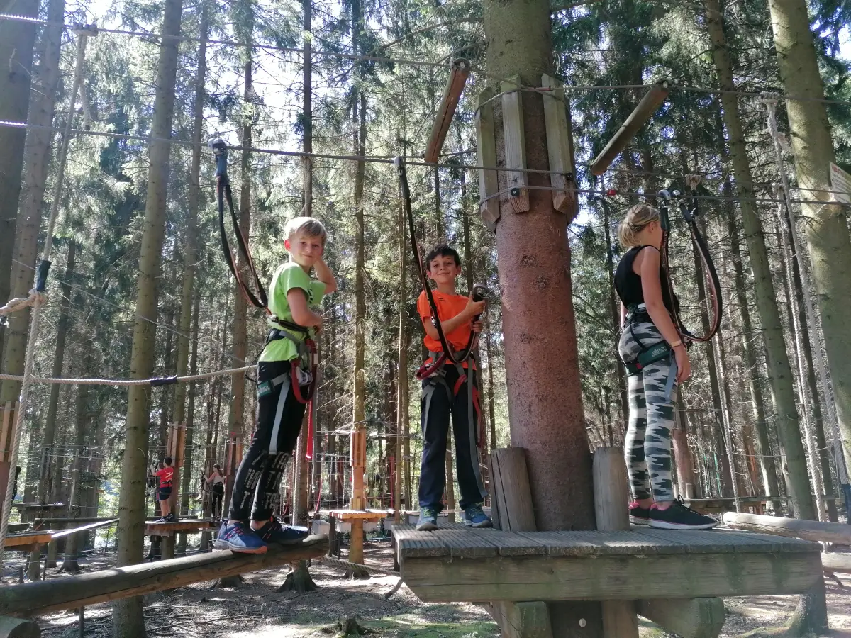 Children on the high ropes course in the woods of the holiday village