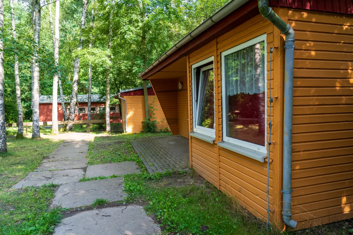 Wooden holiday bungalow beside a paved path among birch trees at the Feriendorf Hoher Hain in Limbach-Oberfrohna