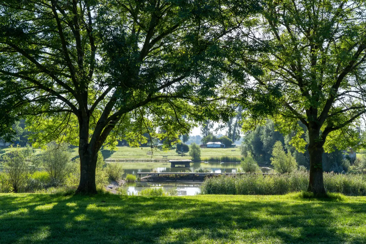 The meadow and trees of the Blütengrund with the river valley beyond