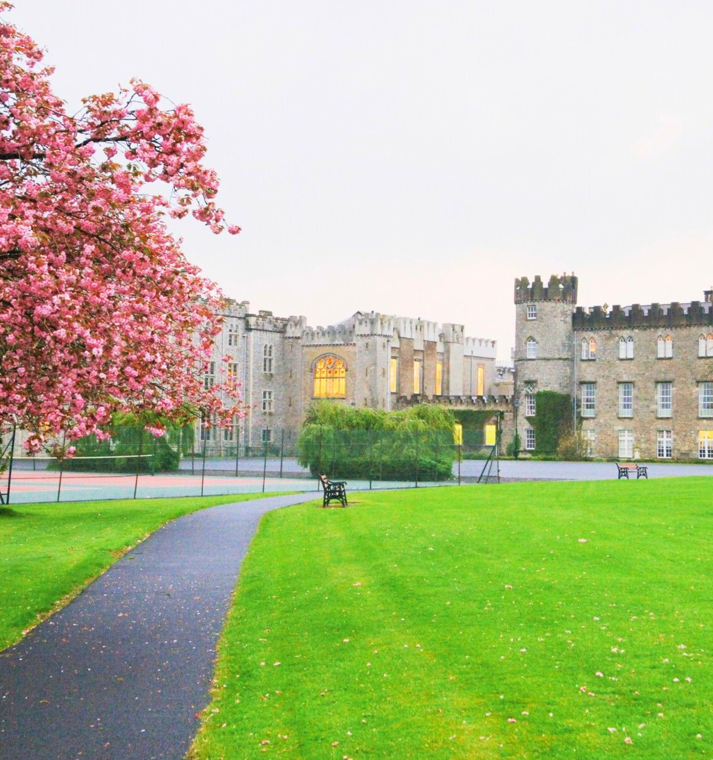 Clongowes Wood College Summer Camp general 22