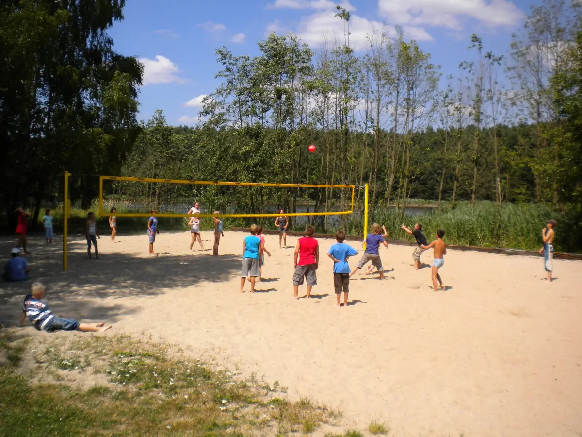 Children playing on a sand volleyball field beside the woods