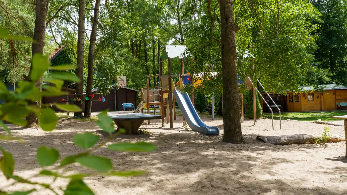 Wooded camp grounds with a playground slide and seating