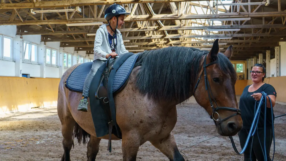 Child riding a horse led by an instructor in an indoor riding arena