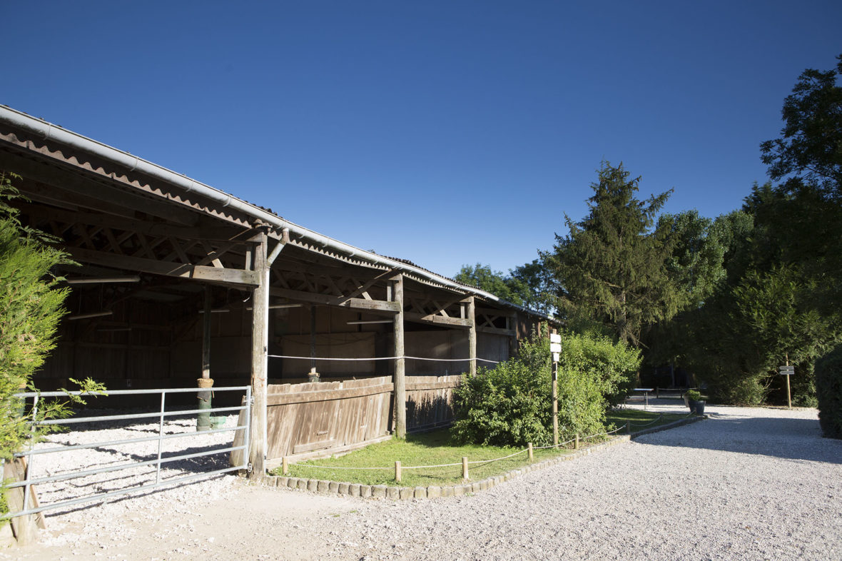 A covered riding school with a long open side, seen from the yard