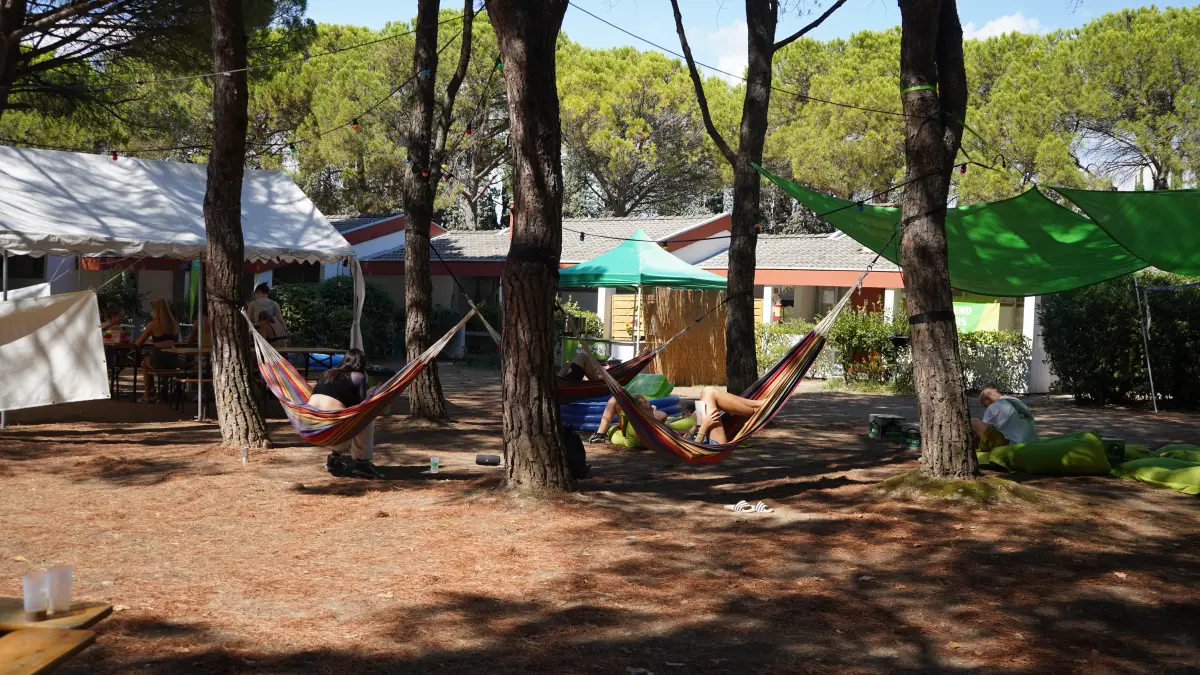 Hammocks strung between pine trees in the shaded chill-out area