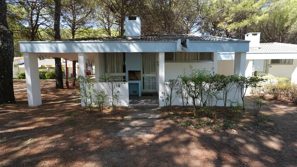 Single-storey white accommodation building among pine trees