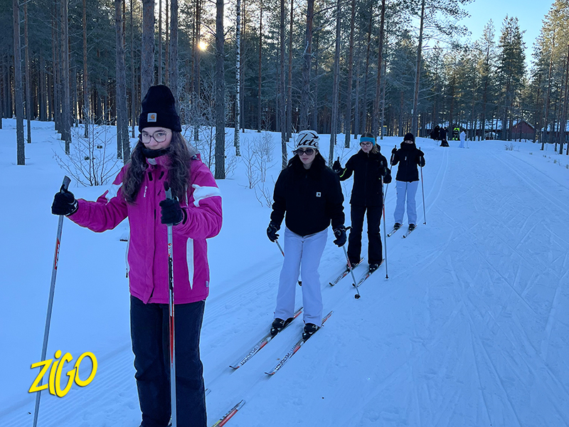 Zigotours Aventure Suomi Winter Nature Camp - Helsinki and Piispala general 9