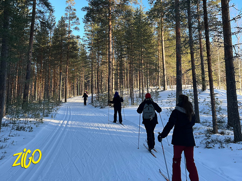 Zigotours Aventure Suomi Winter Nature Camp - Helsinki and Piispala activities 1