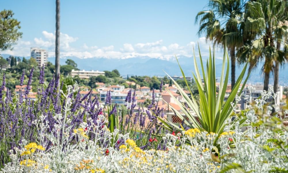 Premium Teen summer camp on the French Riviera - garden