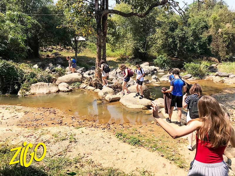 Zigotours Thailand and Laos Camp - Gibbon Experience general 27