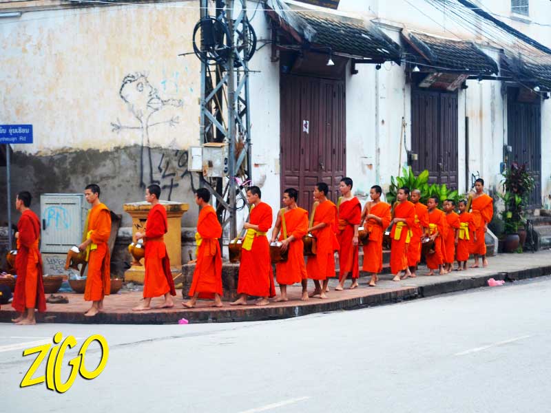Zigotours Thailand and Laos Camp - Gibbon Experience general 6