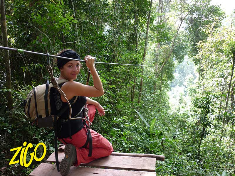Zigotours Thailand and Laos Camp - Gibbon Experience general 2