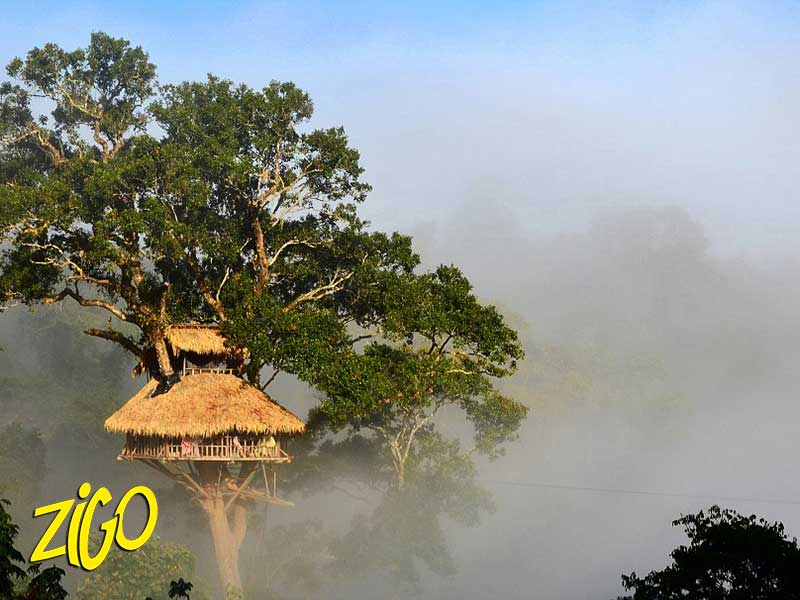 Zigotours Thailand and Laos Camp - Gibbon Experience general 3