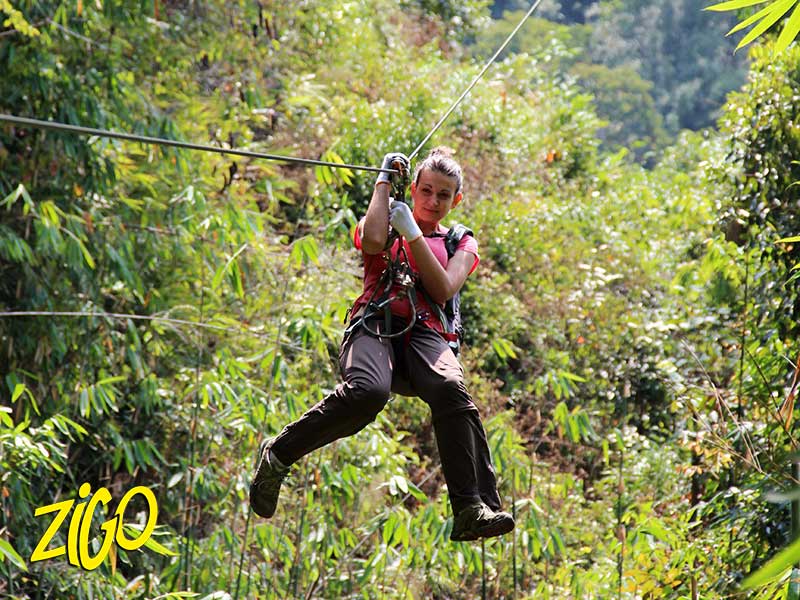Zigotours Thailand and Laos Camp - Gibbon Experience general 4