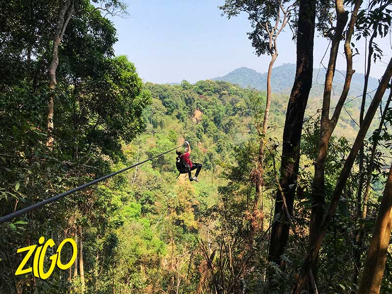 Zigotours Thailand and Laos Camp - Gibbon Experience general 5