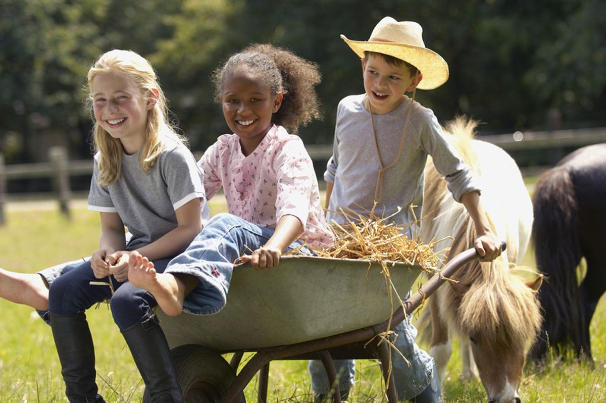 Three children sitting in a wheelbarrow towed by a pony across the meadow at Domaine de Chevillon