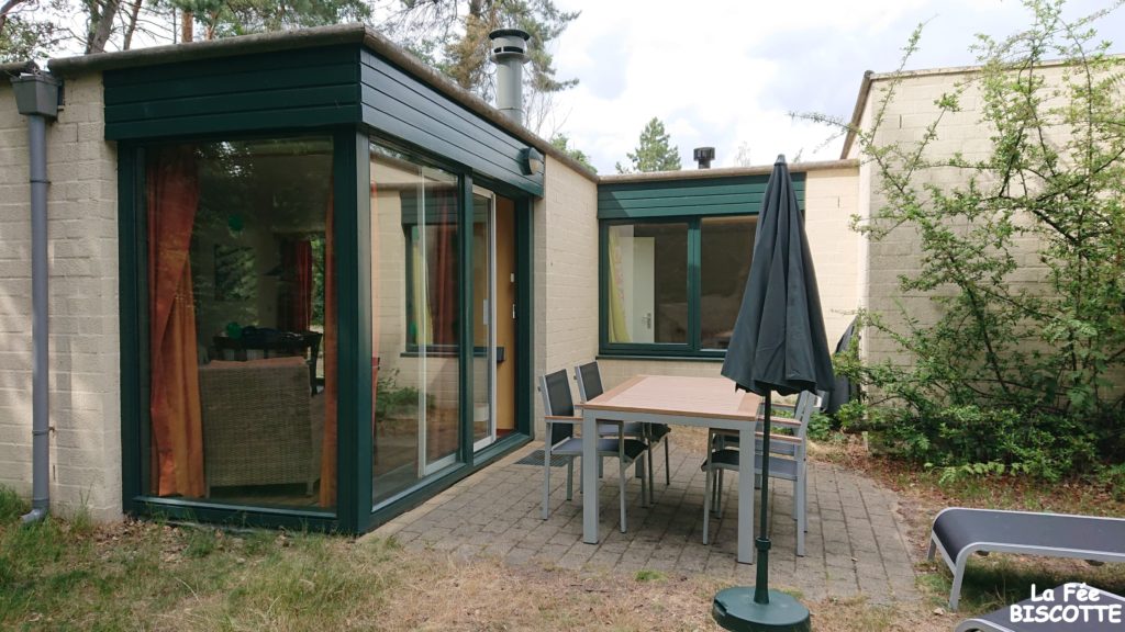 Frame from the activity gallery of the camp at the Domaine des Bois Francs