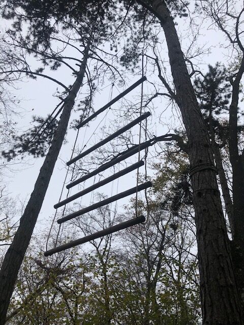 Wooden rope ladder of the natural high ropes course strung between tall trees at the Schwarzhornhaus