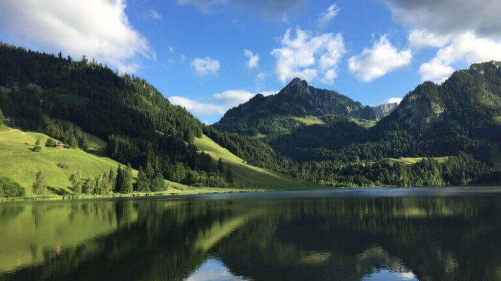 friLingue Schwarzsee English Camp