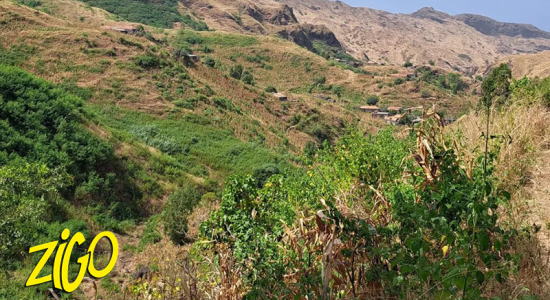 Zigotours Cape Verde Camp - Sal Island and the Ocean Guardians Mission general 5