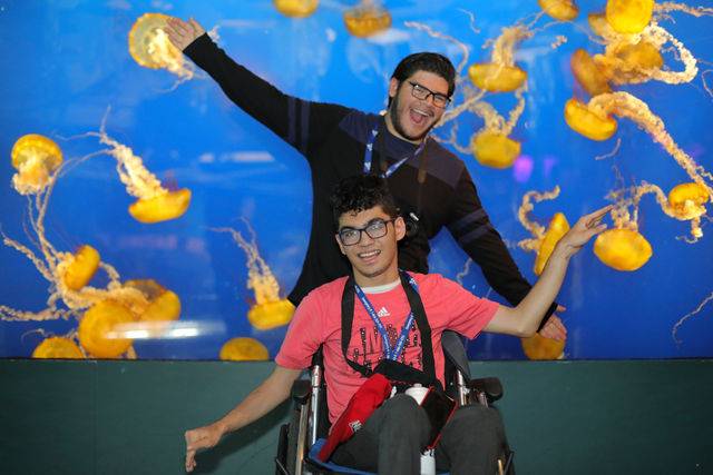 Summer at the University of British Columbia (UBC) general 5