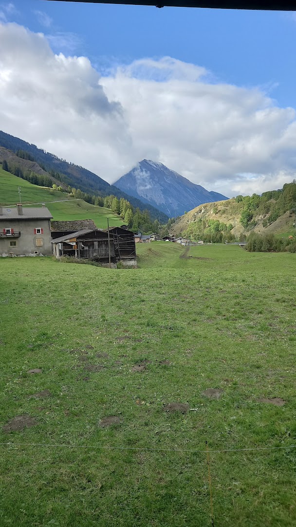 friLingue St. Bernard Autumn — Language Camp Valais general 21