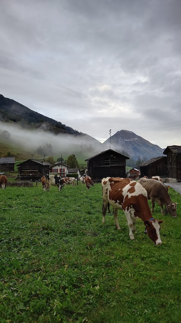 friLingue St. Bernard Autumn — Language Camp Valais general 25