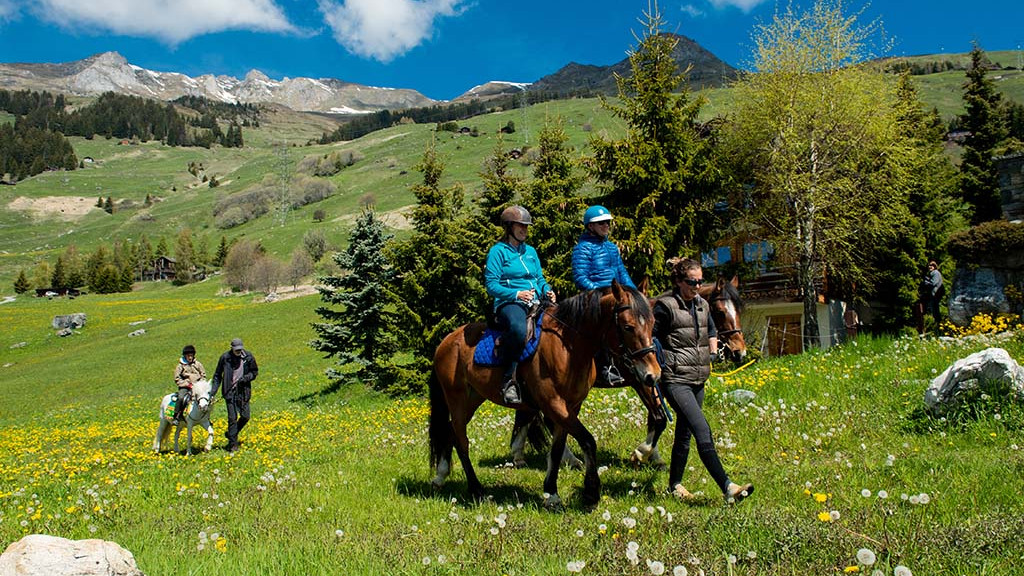 friLingue St. Bernard Autumn — Language Camp Valais general 48