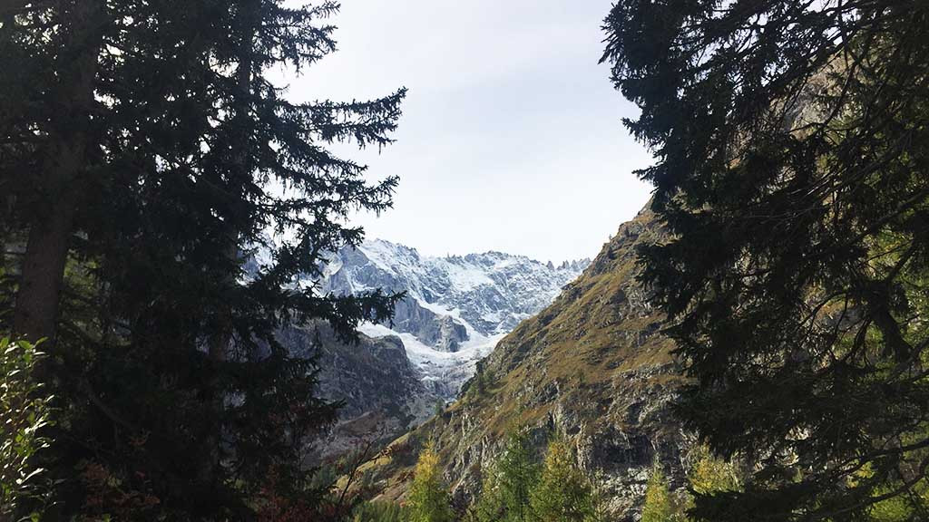 friLingue St. Bernard Autumn — Language Camp Valais general 73