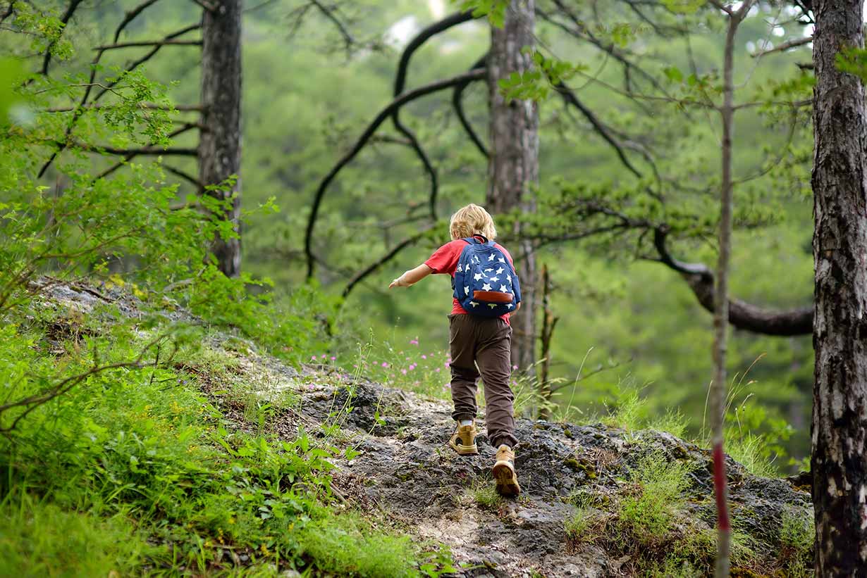 Camper with a rucksack walking a rocky woodland trail in Connemara