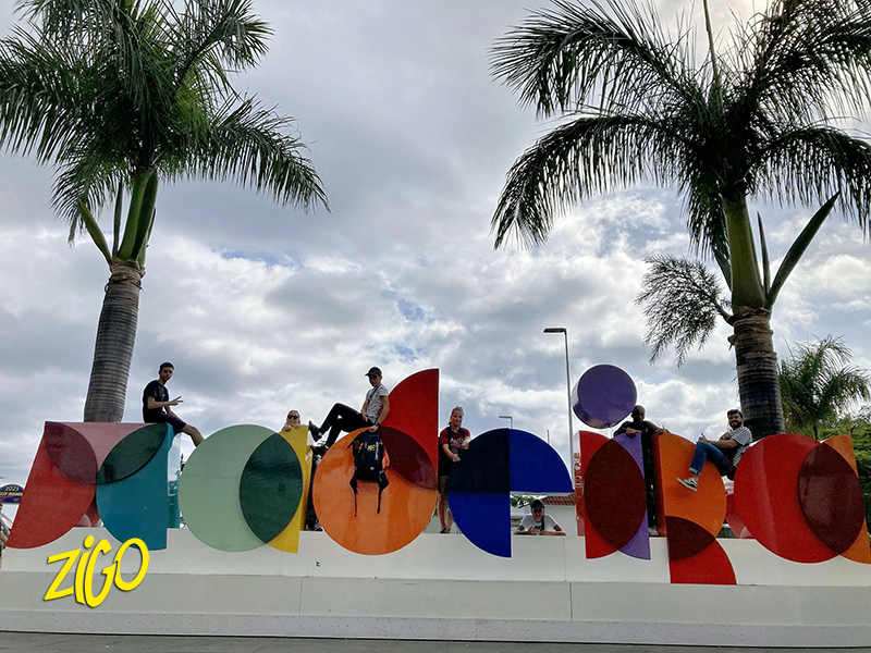 The colourful Madeira letters sign framed by palm trees