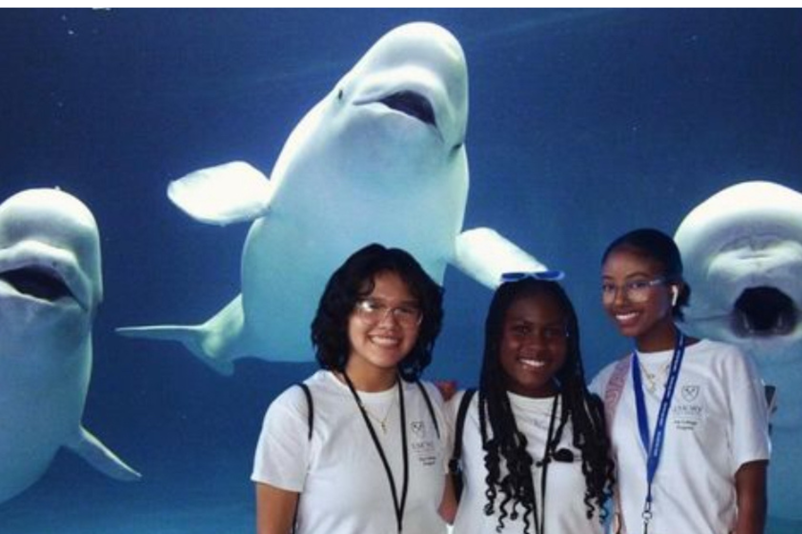 Three Emory Pre-College students in front of the beluga whale tank at the Georgia Aquarium during an Eagle Excursion