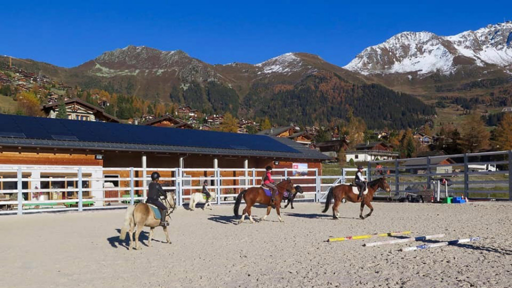 friLingue St. Bernard Summer — Language Camp Valais general 5