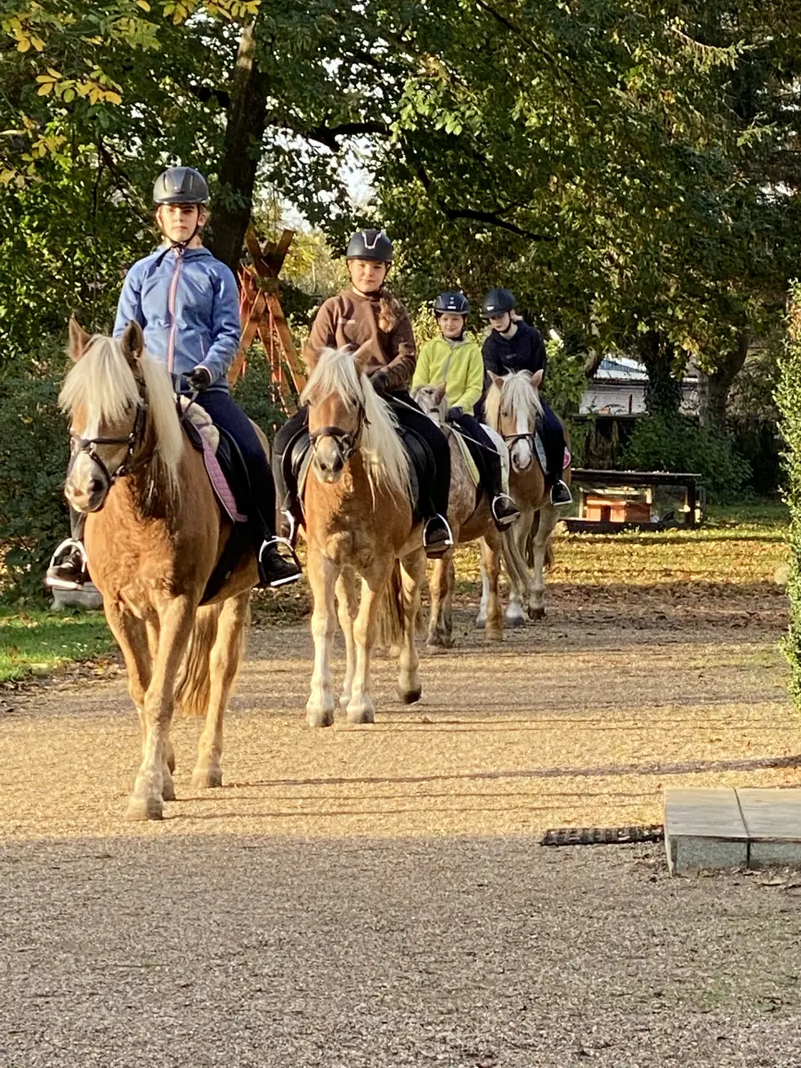 Reiterferien Kattien/Lüneburger Heide - Herbst