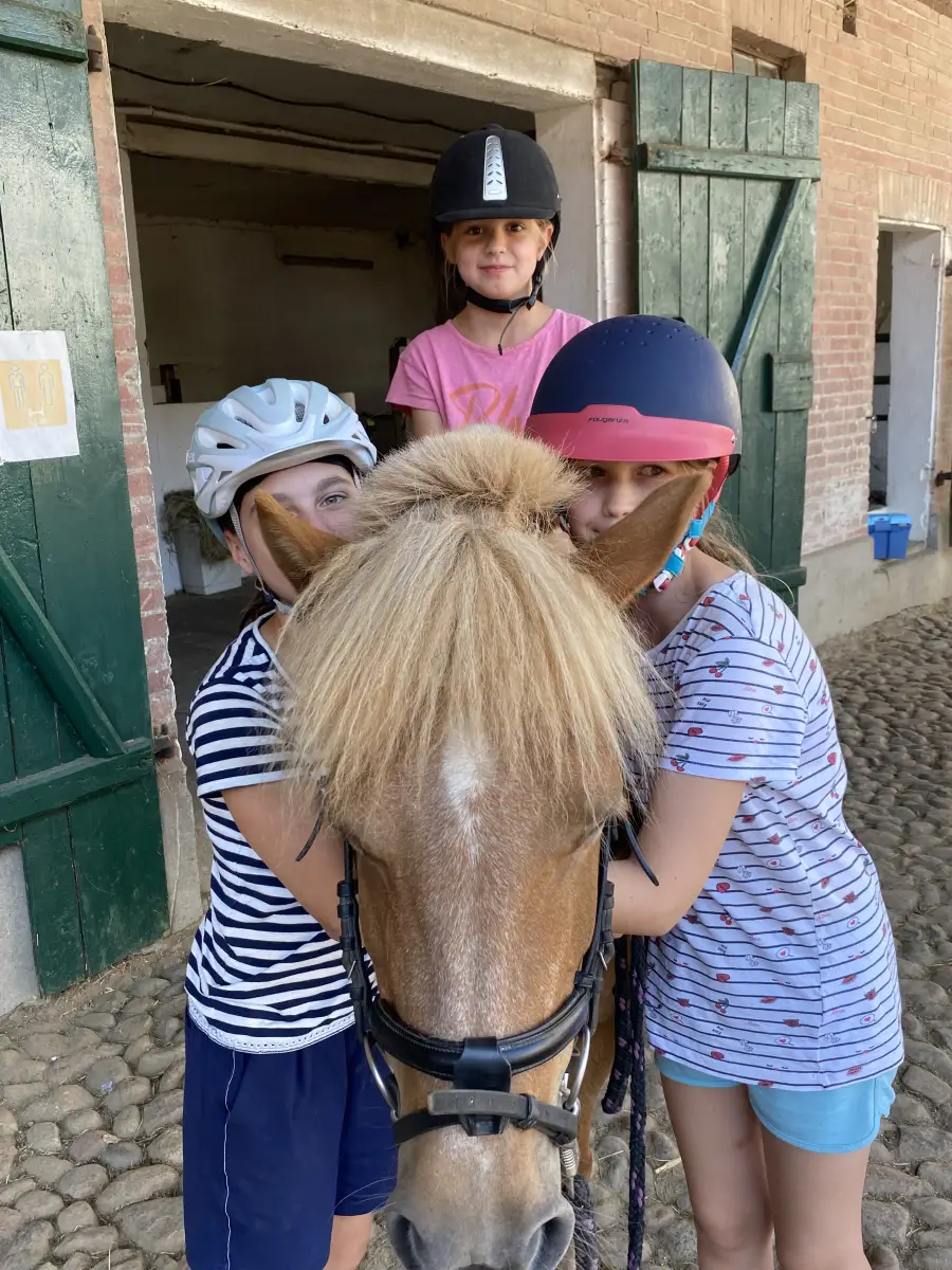 Two girls hugging a Haflinger with a pale mane in the stable doorway, a third girl in a riding helmet behind them
