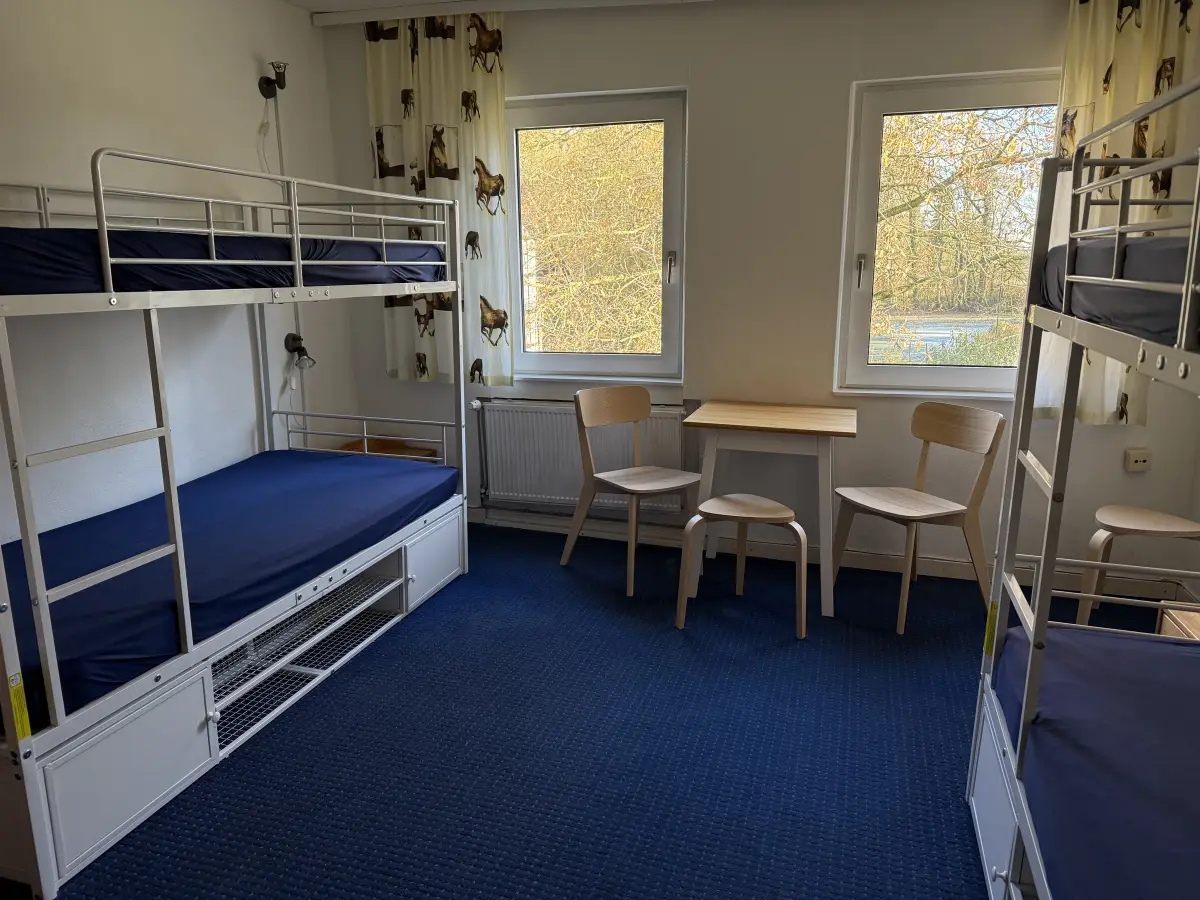 A multi-bed room with a bunk bed, blue carpet, table and chairs and horse-patterned curtains