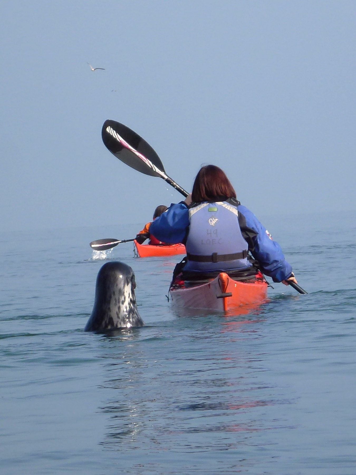 Summer activity week in North Wales