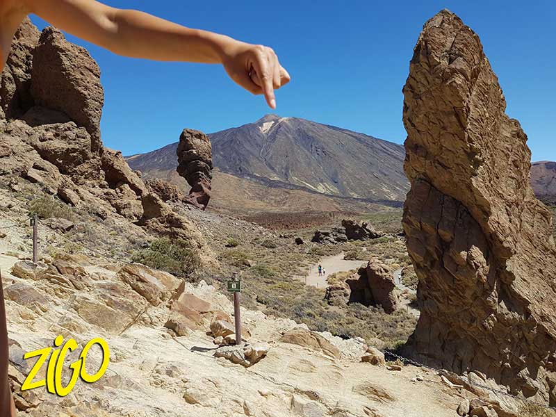 Zigotours Tenerife Camp - Ocean Trip in the Canary Islands general 14