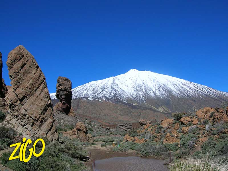 Zigotours Tenerife Camp - Ocean Trip in the Canary Islands general 15