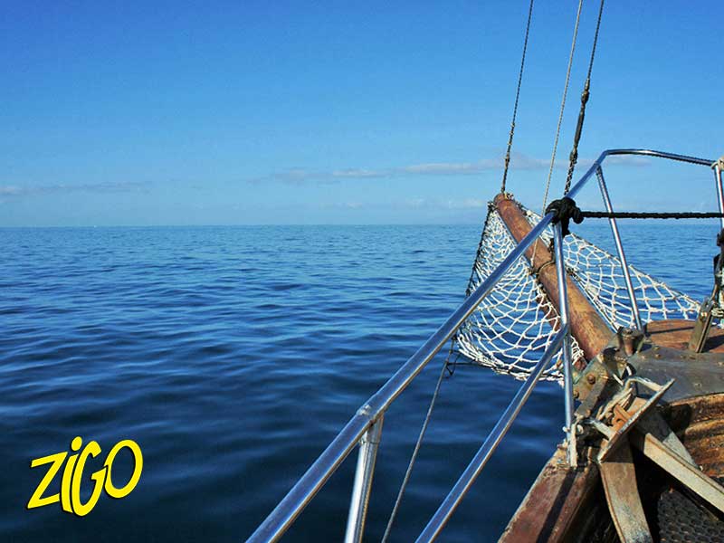 Zigotours Tenerife Camp - Ocean Trip in the Canary Islands general 17