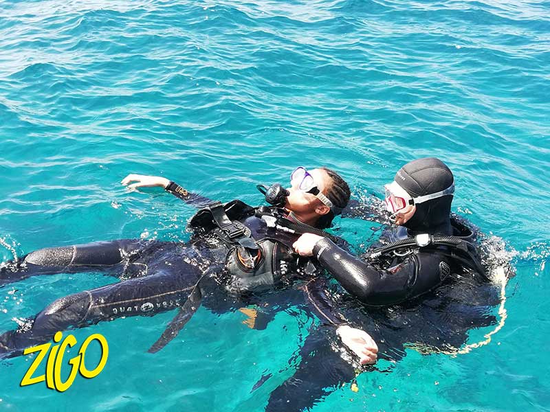 Zigotours Tenerife Camp - Ocean Trip in the Canary Islands general 18