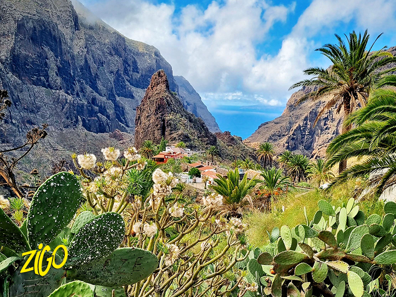 Zigotours Tenerife Camp - Ocean Trip in the Canary Islands general 1